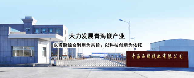 青海西部鎂業(yè)有限公司